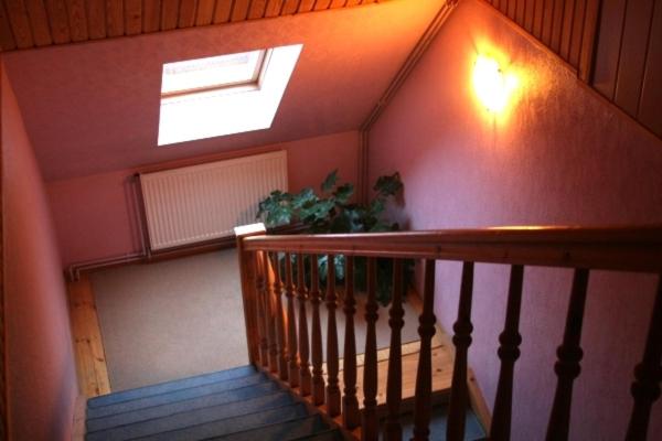 Fotografie z fotogalerie ubytování Terve Hostel v destinaci Pärnu