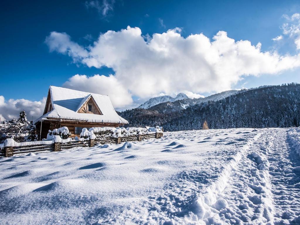 ザコパネにあるTatryTop Domek pod Giewontemの雪面積雪家