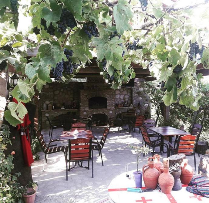 Zahrada ubytování Guest House Kusika