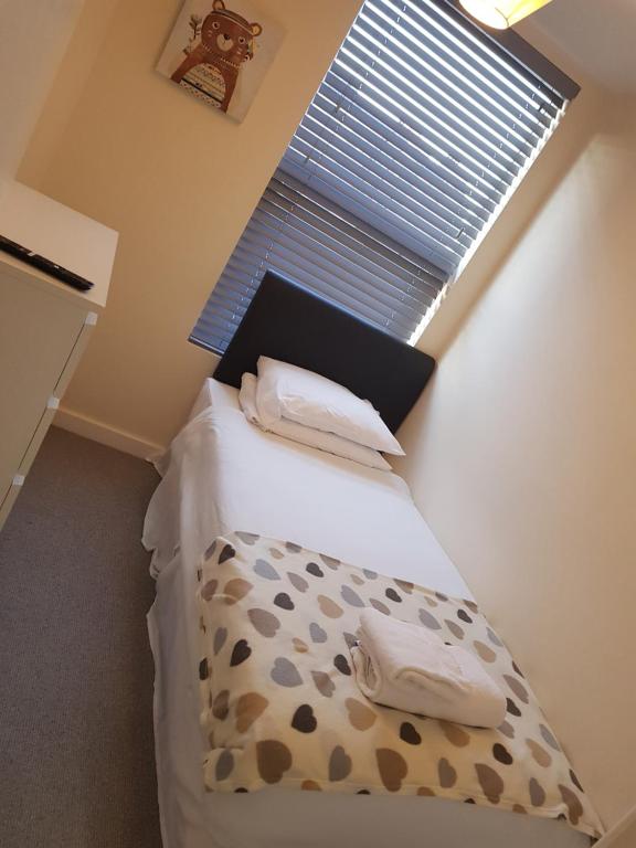 Pavilion Holiday Apartments - Apartment
