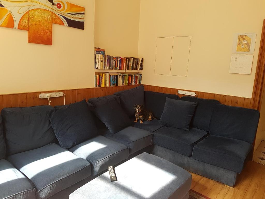 Zona de estar de Barmy Badger Backpackers
