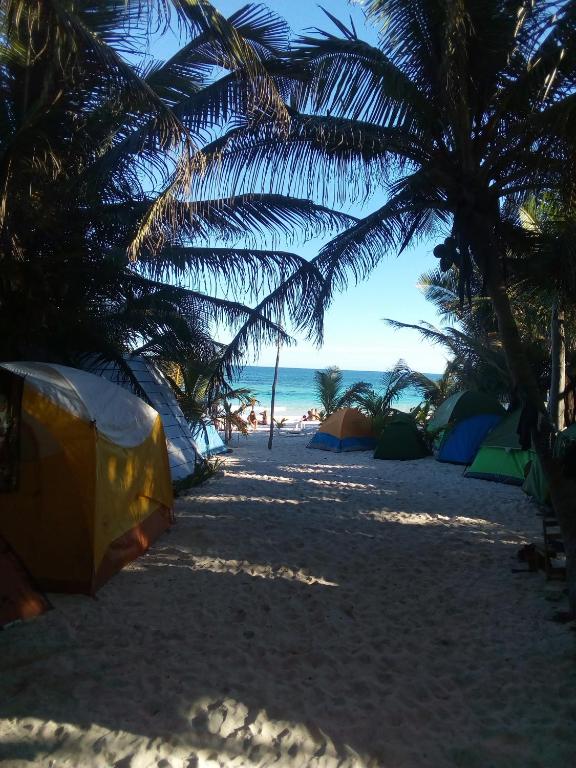 chavez camping tulum