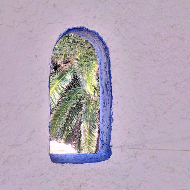 a window on a wall with a palm tree at Poseidon Blue Gastronomy Hotel in Afiartis
