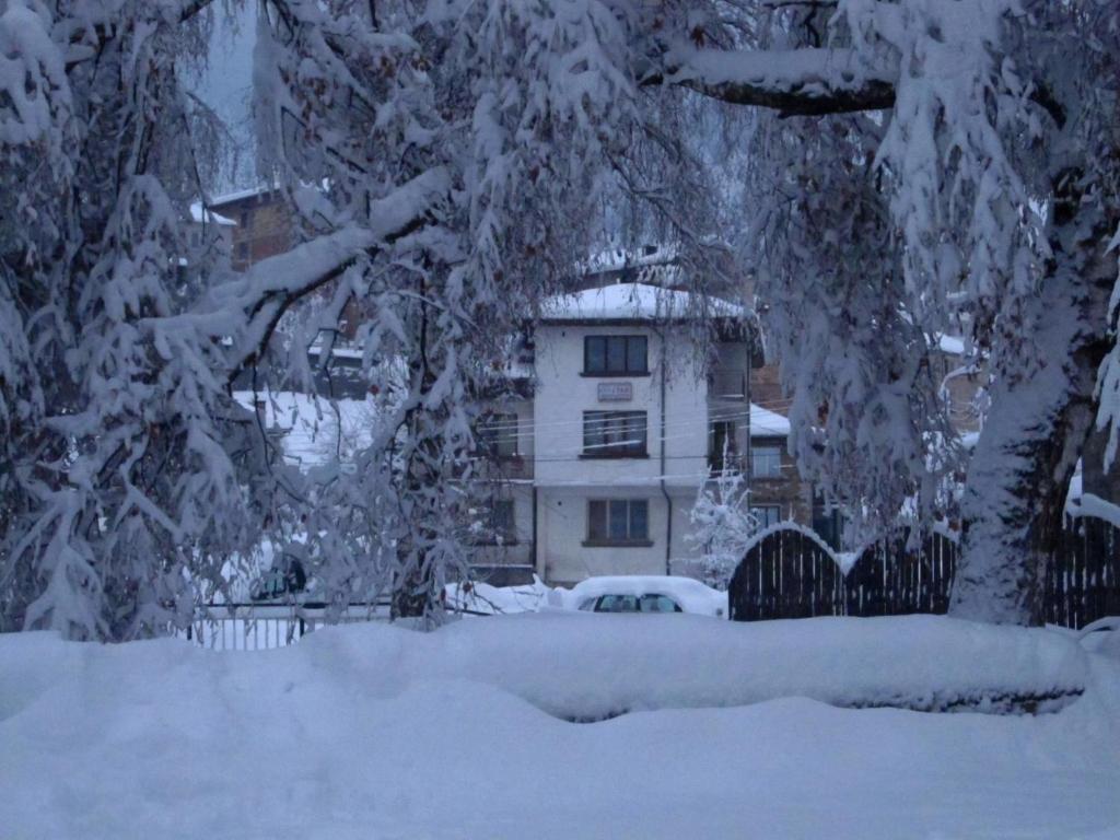a snow covered tree in front of a house at Guest Rooms Metaksinovi in Chepelare