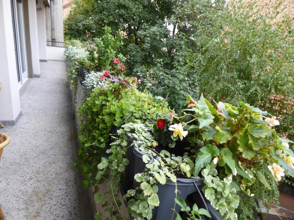 a row of pots filled with flowers and plants at Apartment Deligradska in Belgrade
