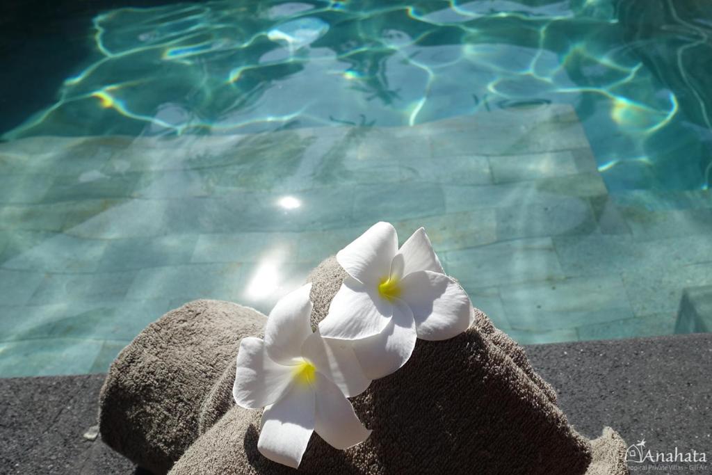 Anahata - Tropical Private Villas - 18