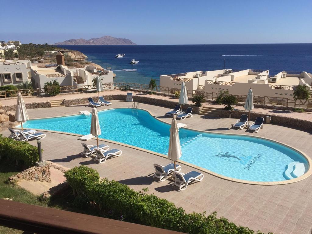 a swimming pool with chairs and umbrellas and the ocean at Sharks Bay Oasis Apartment in Sharm El Sheikh