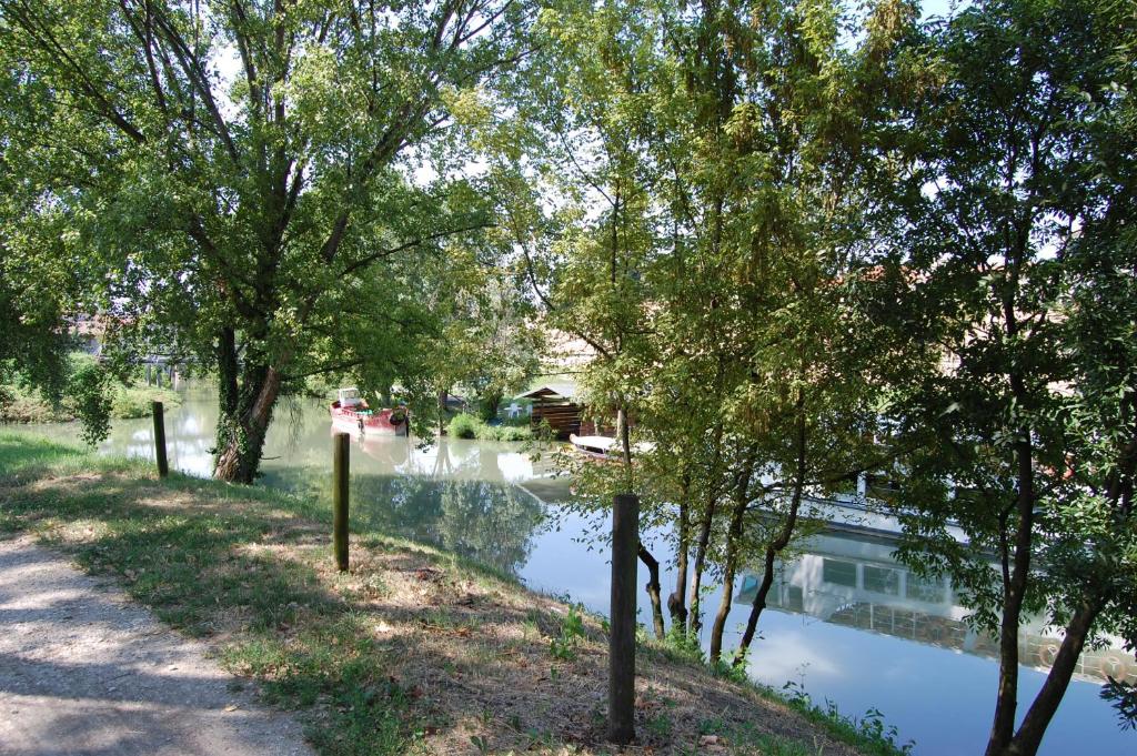 a body of water with trees and a river at Bed and Room Al Fiume Piovego in Padova