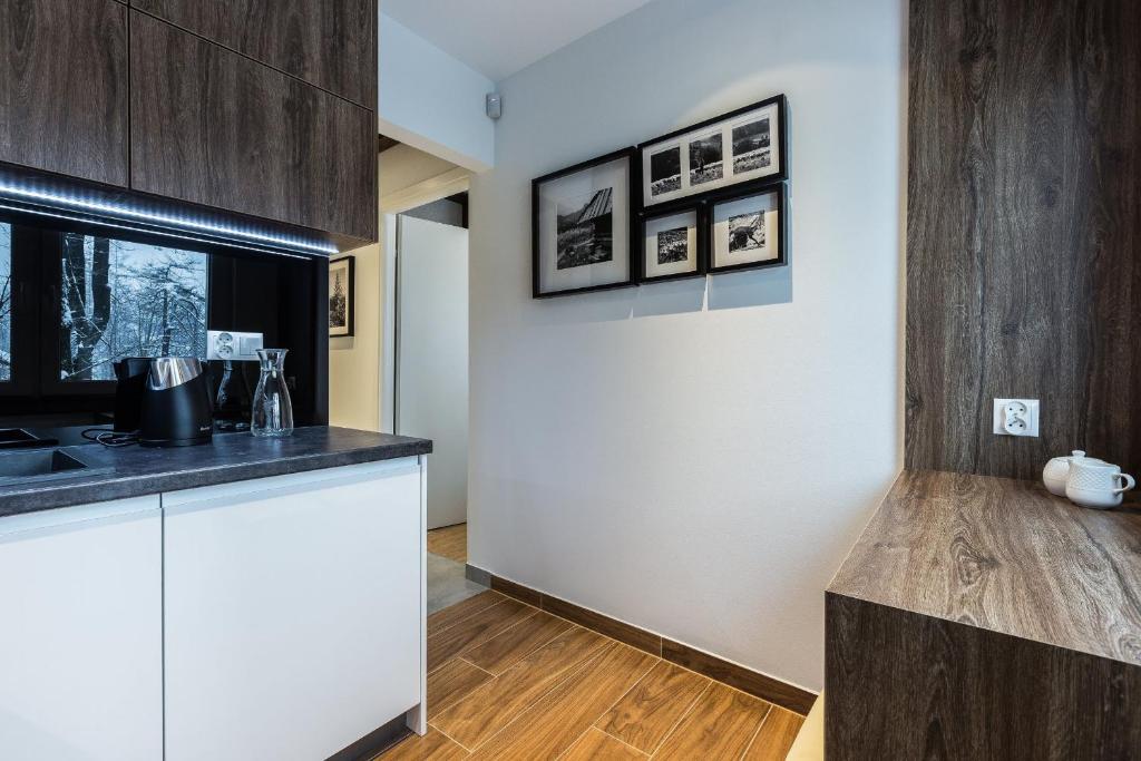 Kuchyňa alebo kuchynka v ubytovaní Apartament Helena Odkryj Zakopane