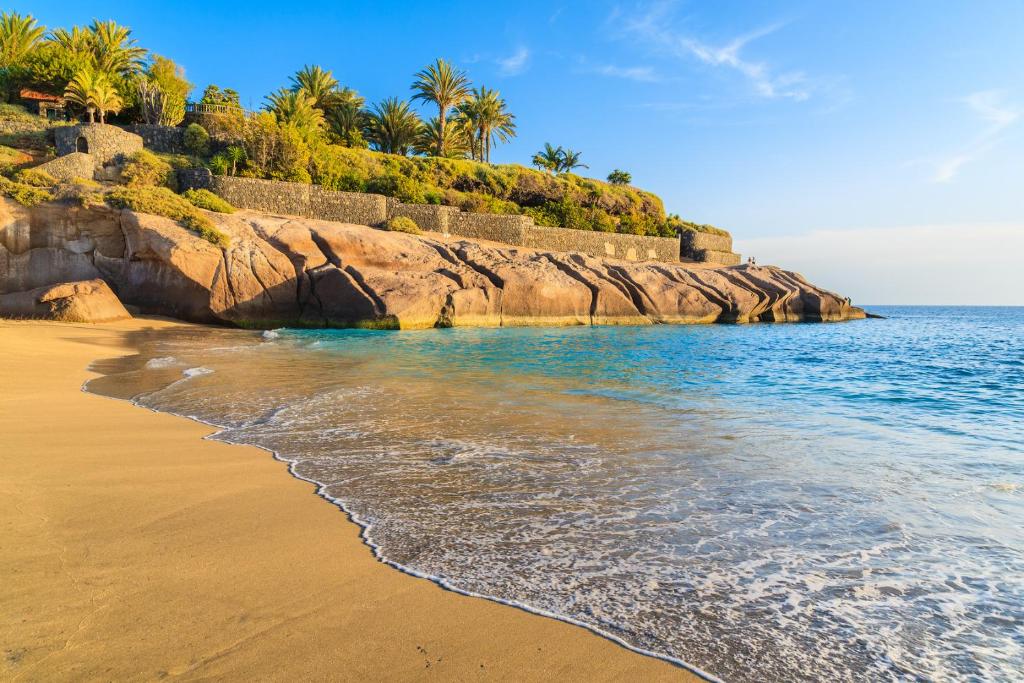 アデへにあるCozy Apartment in Costa Adeje,Torviscas playaのヤシの木と海の砂浜