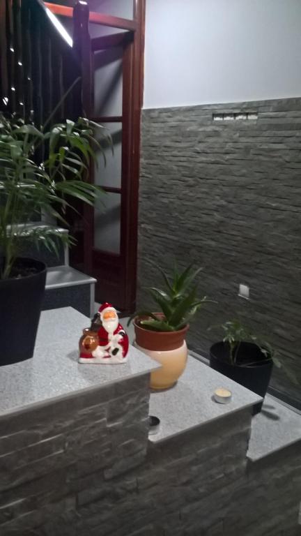 Fotografie z fotogalerie ubytování Djurdja Apartment v destinaci Aranđelovac