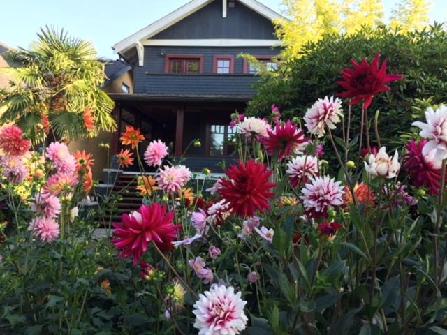 a bunch of flowers in front of a house at Beautiful, Quiet 3BR in Posh Kitsilano in Vancouver