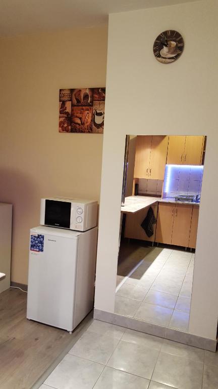 Kuchyňa alebo kuchynka v ubytovaní Liget Apartment, Terrace, Free Parking, AC