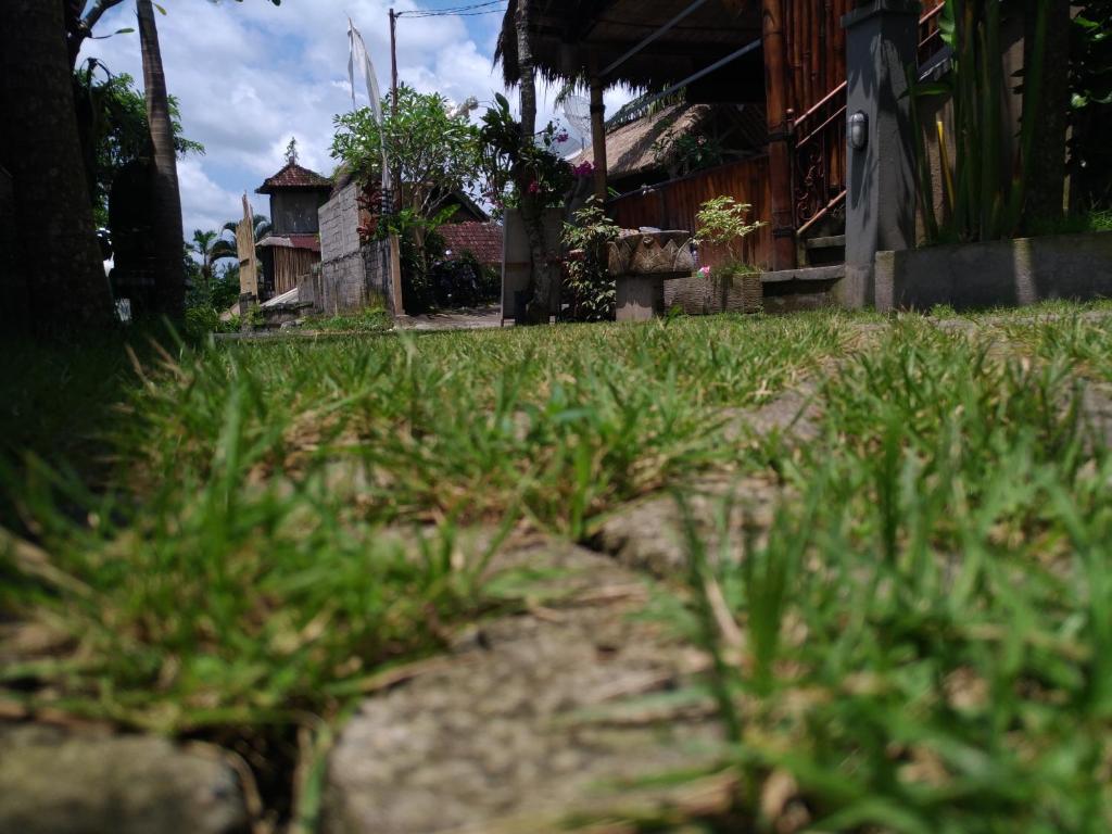 Zahrada ubytování Mekenyem House Ubud
