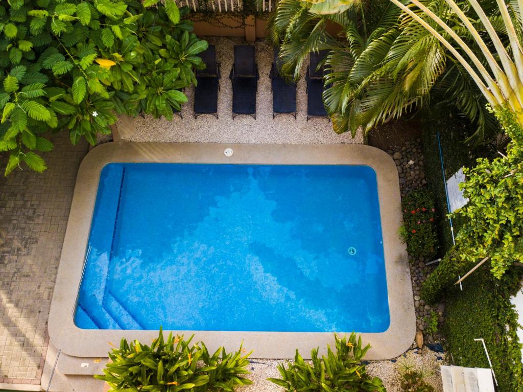 an overhead view of a swimming pool with plants at Hotel Laura's House in Coco