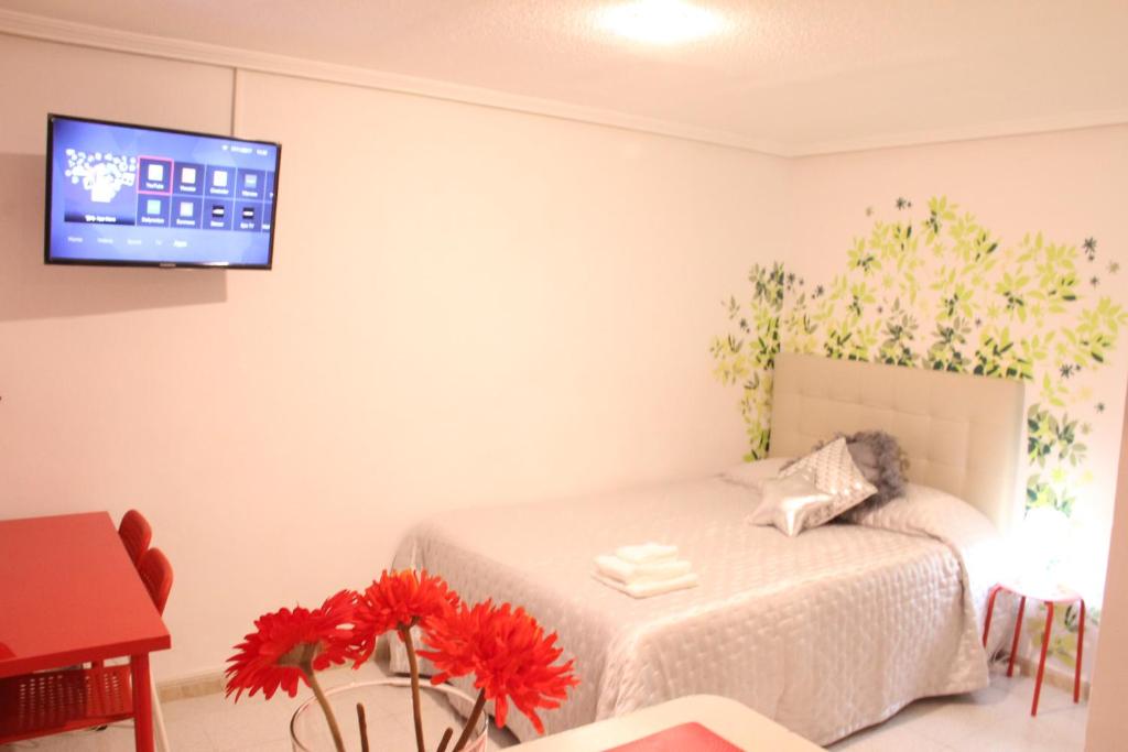 マドリードにあるSmartApart, Heart of Madridのベッド1台と壁掛けテレビが備わる客室です。