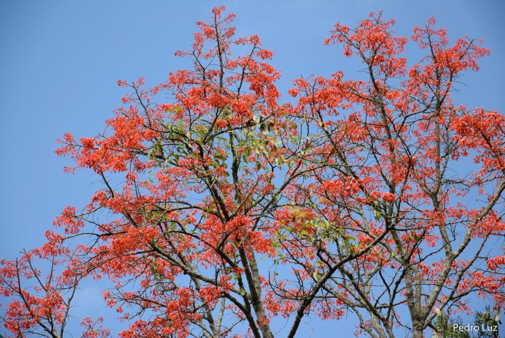  Pousada Bela Vista