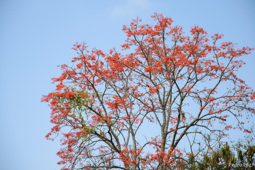  Pousada Bela Vista
