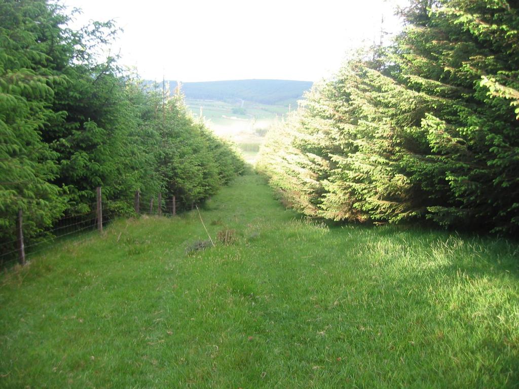 Příroda nedaleko bed and breakfast