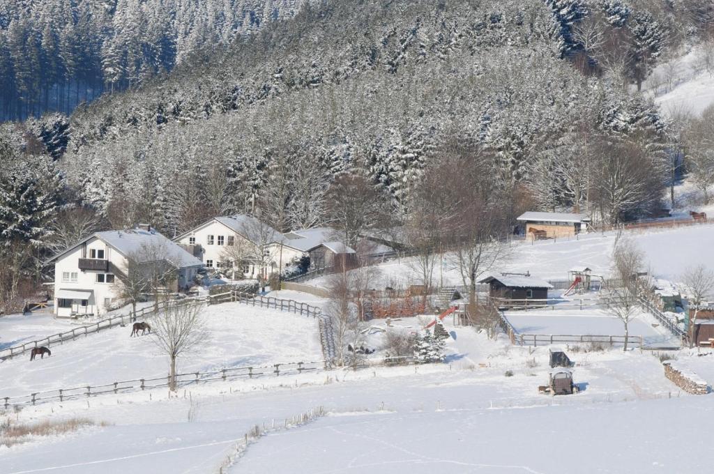 un pueblo cubierto de nieve con casas y una montaña en Dümpelhof Ferienwohnungen, en Olsberg