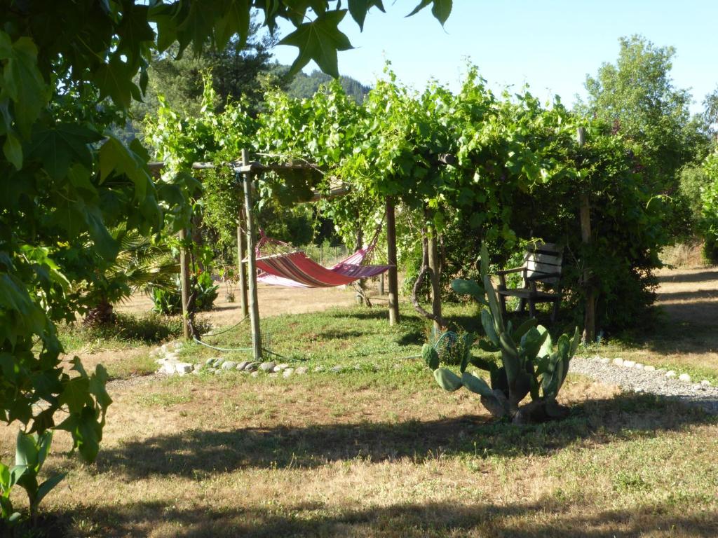 a hammock in a garden with a bunch of vines at La Maravilla Lodge in Vilches