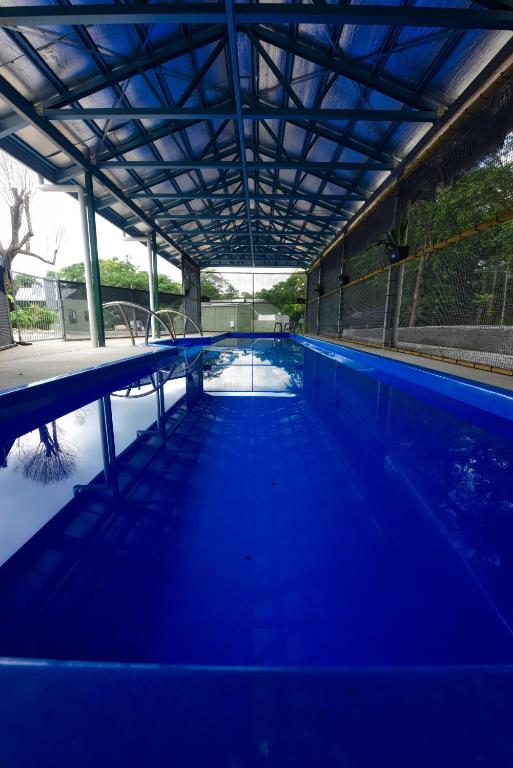 Bazén v ubytování Daintree Peaks ECO Stays nebo v jeho okolí