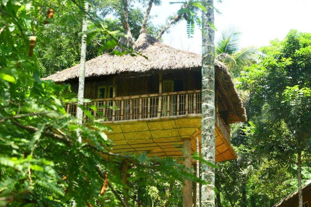 un bâtiment jaune avec un toit de chaume dans les arbres dans l'établissement Kalidasa Tree House and Villa, Wayanad, à Chegāt