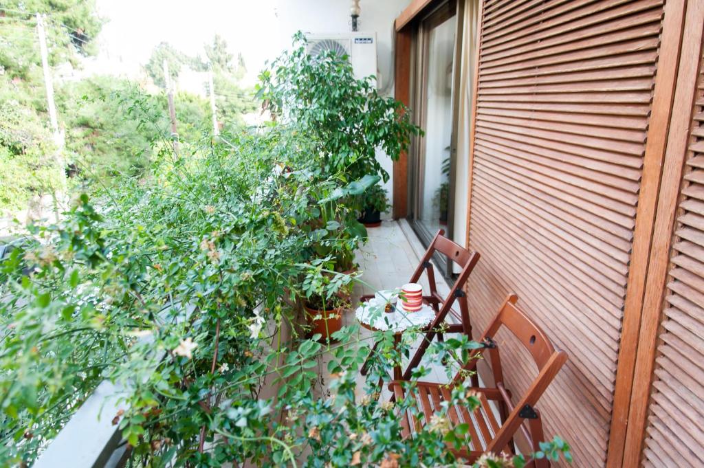 Vonkajšia záhrada v ubytovaní Stephany Apartment