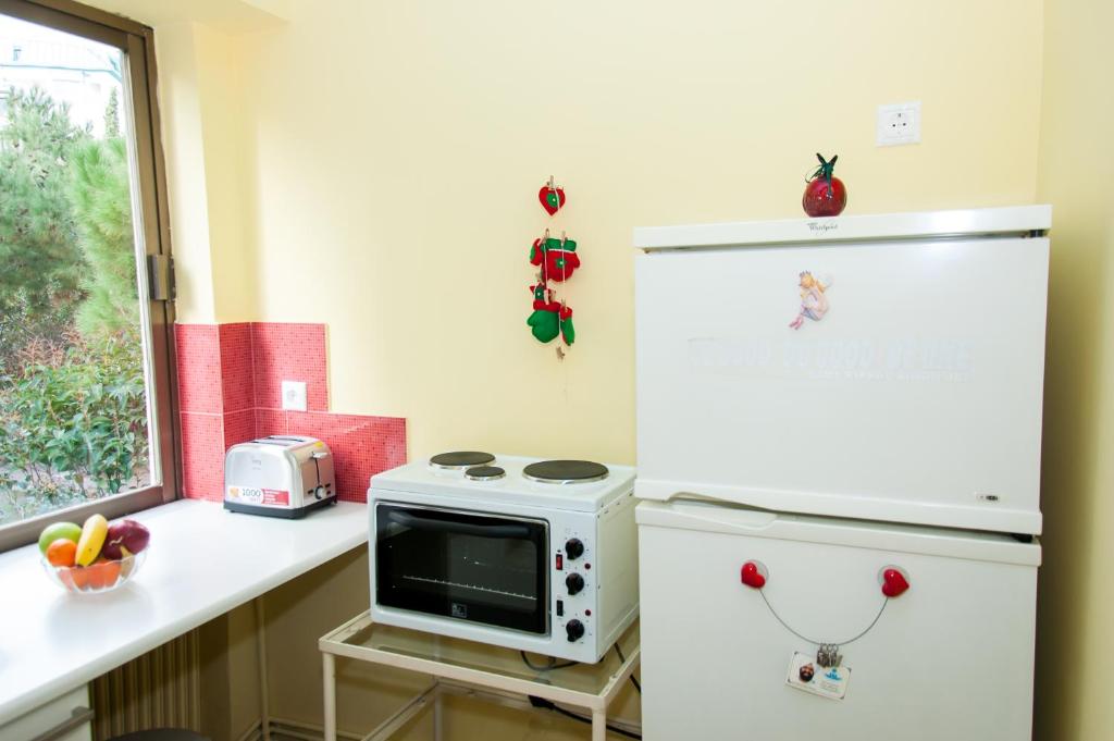 Kuchyňa alebo kuchynka v ubytovaní Stephany Apartment