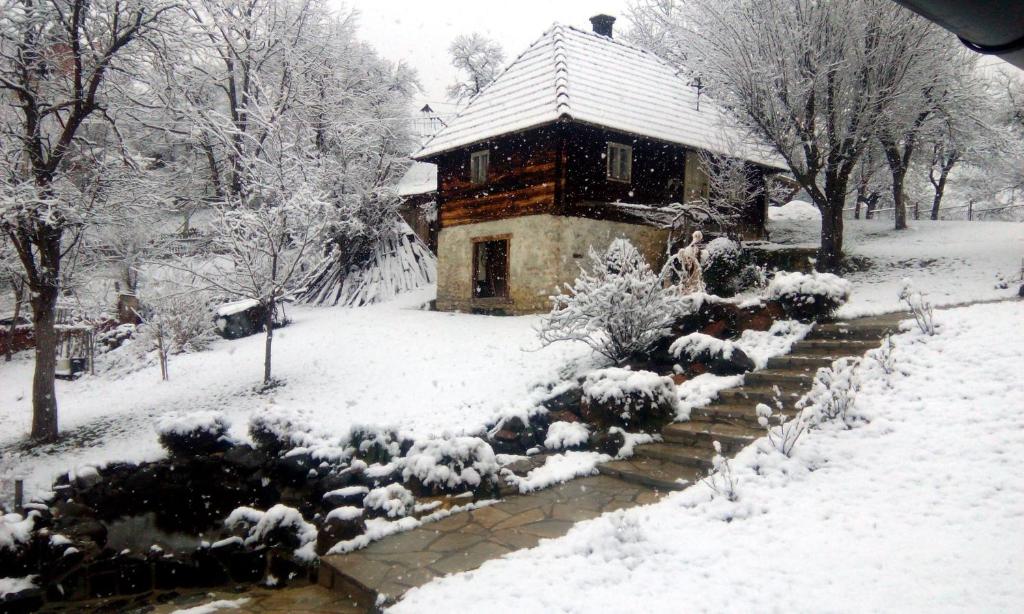 Vacation Home Nana talvel