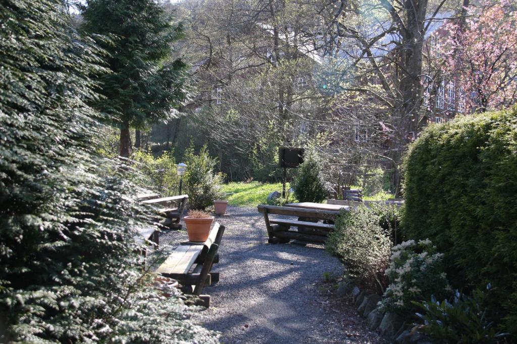 Zahrada ubytování Hotel zum Forsthaus