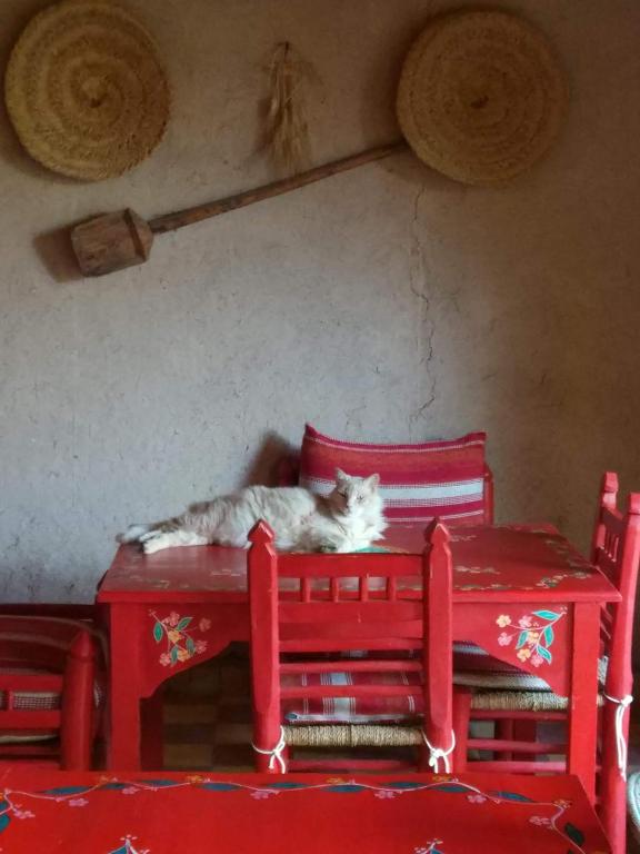 Postel nebo postele na pokoji v ubytování Kasbah Timdaf