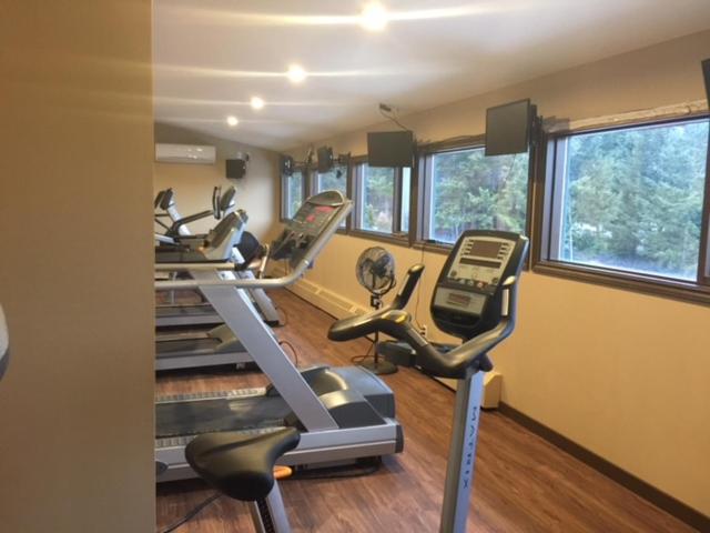 Fitness centrum a/nebo fitness zařízení v ubytování Spruce Hill Resort & Spa
