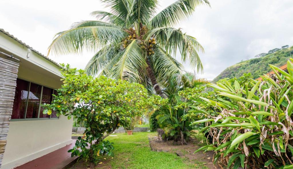 Zahrada ubytování Pension TE MITI - PLAGE-BEACH 200m - Mahana Parc & Vaiava Beach pk18 - B&B CHAMBRES ou DORTOIR