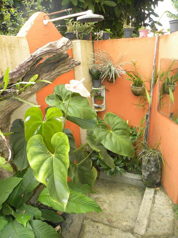 Suíte com Cozinha Compacta