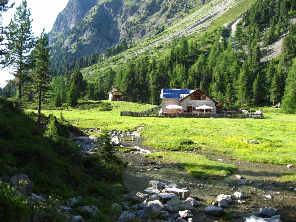 Příroda nedaleko apartmánu