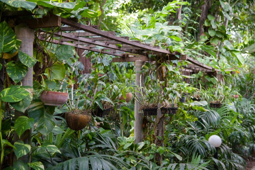 Tropica Bungalow Beach Hotel - Resim 40