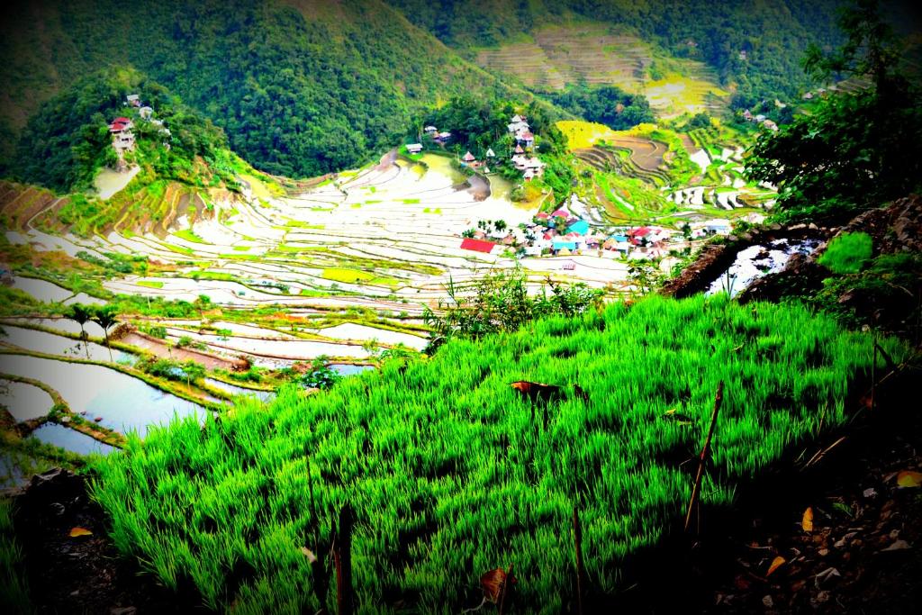 Afbeelding uit fotogalerij van Highland Inn and Restaurant in Banaue