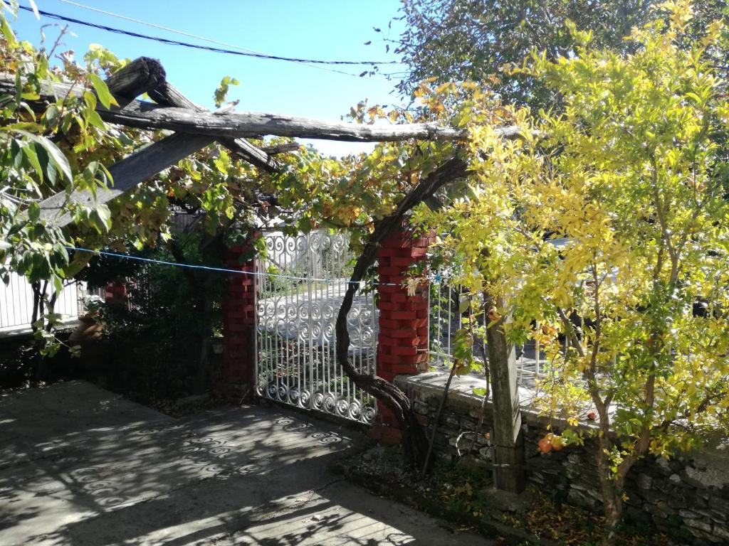 ザゴラにあるBeautiful cottage in Zagoraの塀に落ちた木