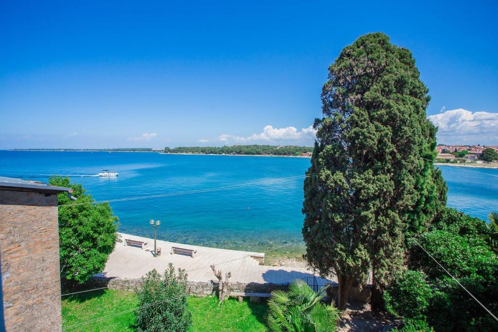 a large tree next to a large body of water at Old Town apartment in Poreč