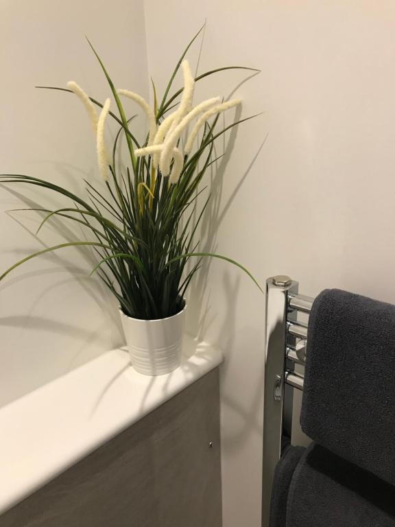 Dunelm Snug - Luxe Tweepersoonskamer