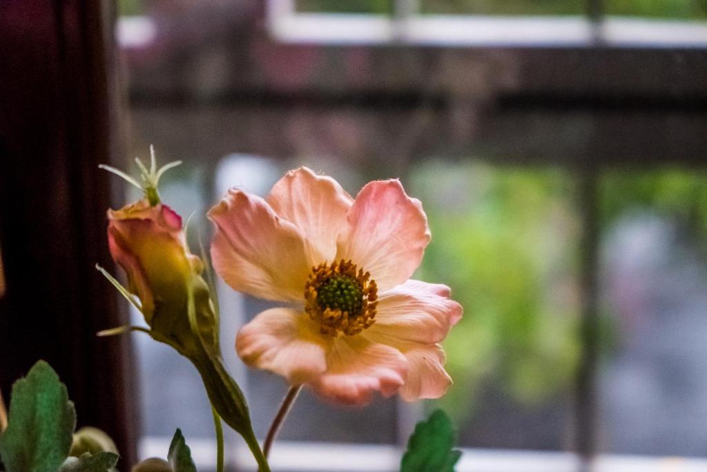 Hotel Casale dei Massimi - Resim 38