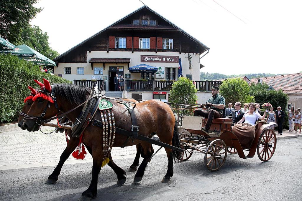 un caballo tirando de un carruaje con un grupo de personas en Hospoda U Lípy, en Ostrov