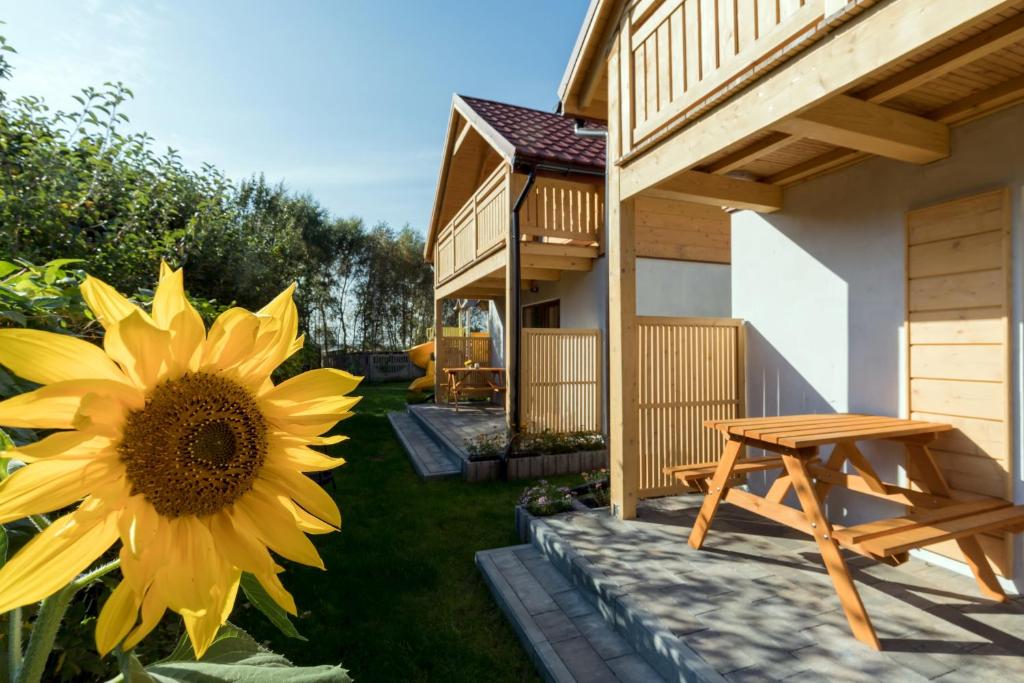 a large yellow sunflower next to a house at Kameleon2 in Dźwirzyno