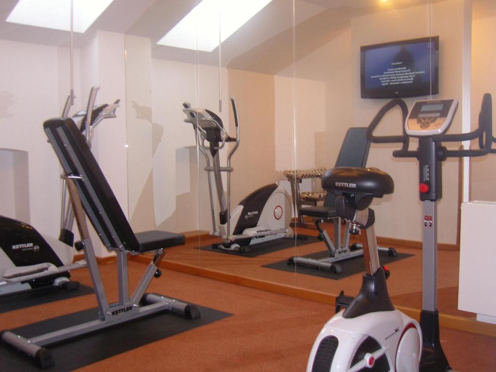Fitness centrum a/nebo fitness zařízení v ubytování Hotel Rott