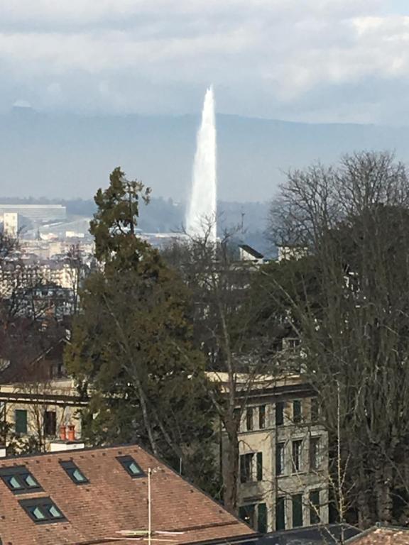 a fountain in the background of a city with buildings at Residence Luxurious Genève in Geneva