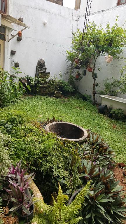 Zahrada ubytování Beatrice House Galle Fort - Homestay