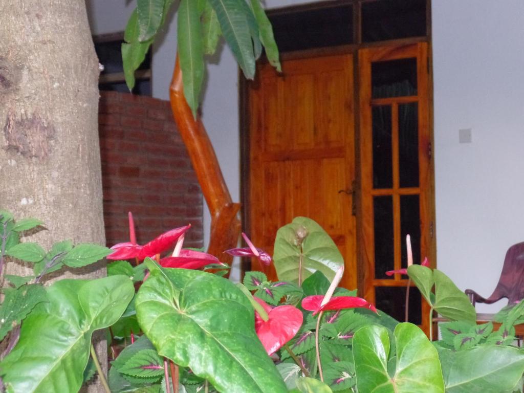 Zahrada ubytování Amaya River Side Homestay