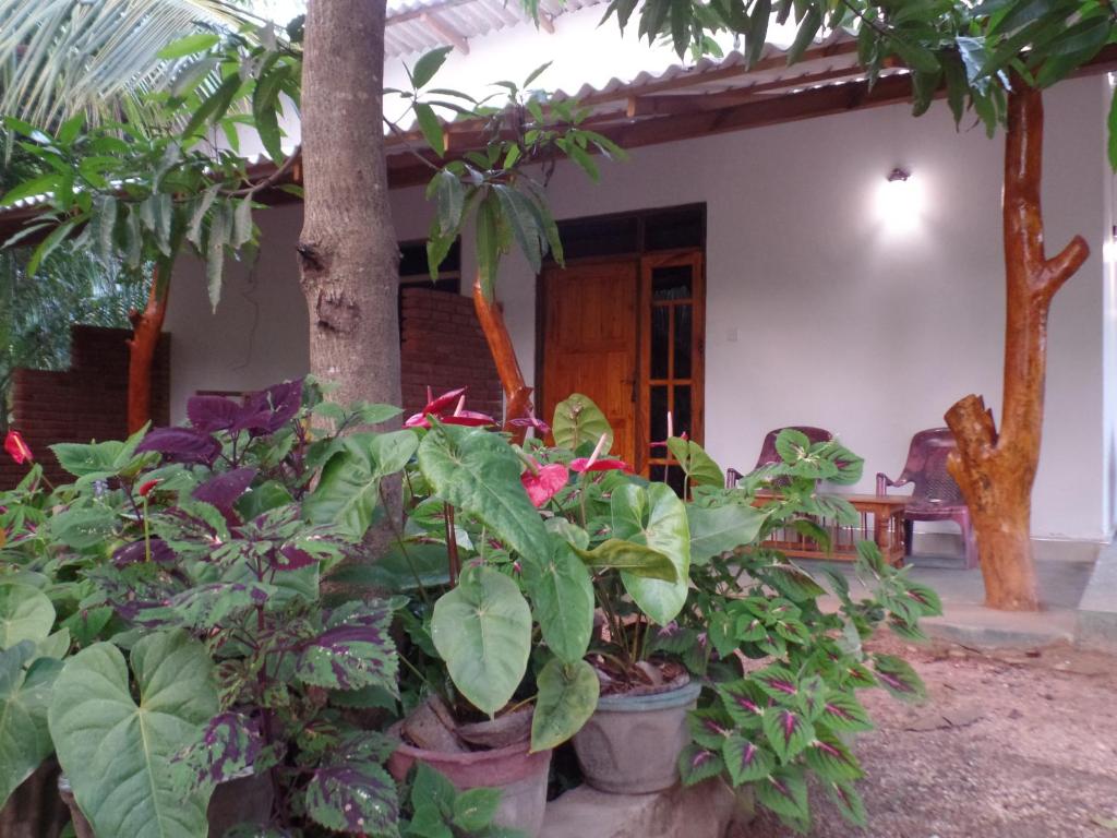 Zahrada ubytování Amaya River Side Homestay