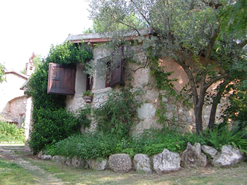 un viejo edificio de piedra con árboles y hiedra. en Malvarina, en Capodacqua